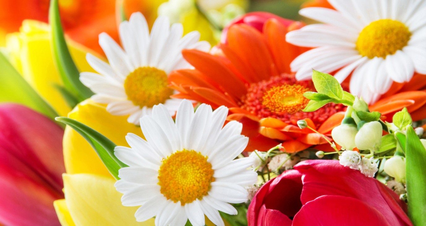 Individuelle Gestaltung entsprechend ihren Wünschen ist bei uns selbstverständlich